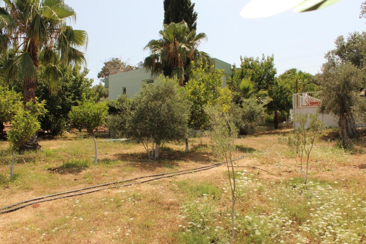 Patara Caretta Hotel Kültér fotó