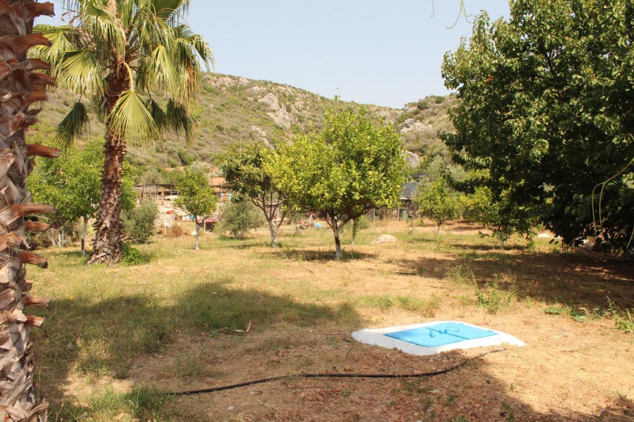 Patara Caretta Hotel Kültér fotó