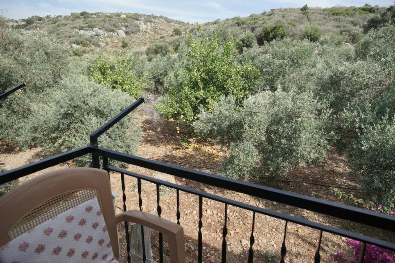 Patara Caretta Hotel Kültér fotó